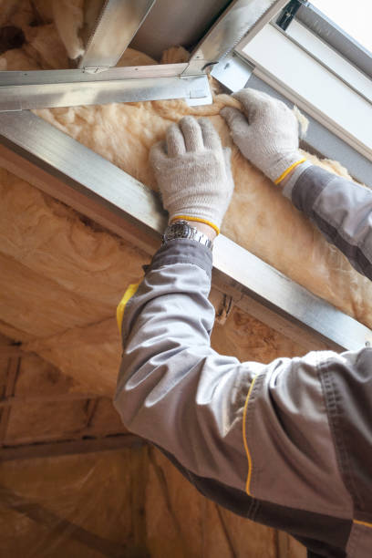 Types of Insulation We Offer in Lake Dallas, TX