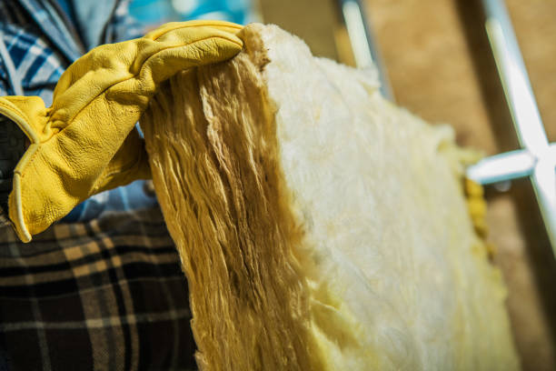 Best Geographic-Specific Insulation Services in Lake Dallas, TX