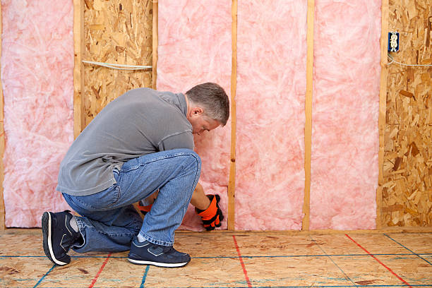 Best Energy Efficiency Insulation in Lake Dallas, TX