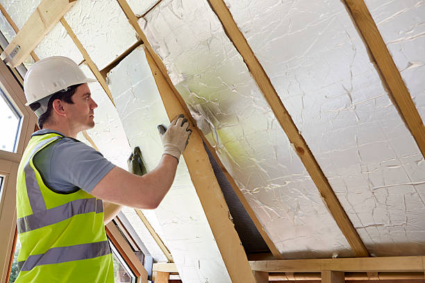 Professional Insulation Contractor in Lake Dallas, TX