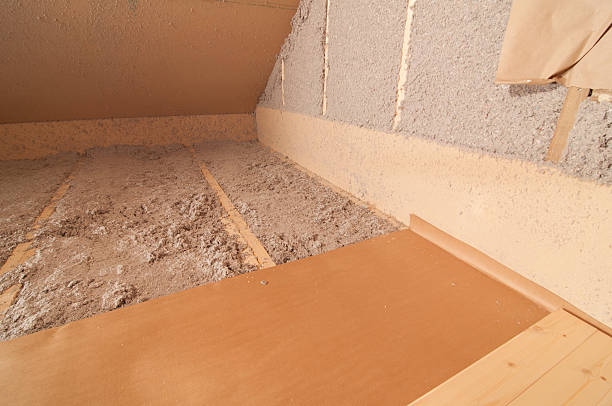 Best DIY Insulation Kits and Guidance in Lake Dallas, TX